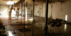 Flooded Basement